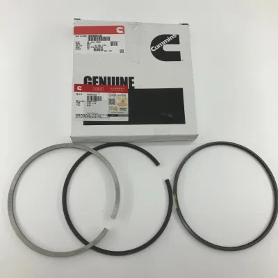 4090028 Kit fasce elastiche K19 Qsk19 Kit guarnizioni motore inferiore Set pistoni motore Set cuscinetti Guarnizione inferiore radiatore olio Anello guarnizioni motore superiore per Cummis